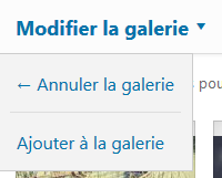 modifier la galerie