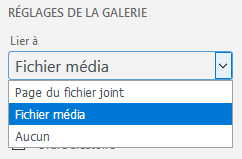 Wordpress liaison image d'une galerie